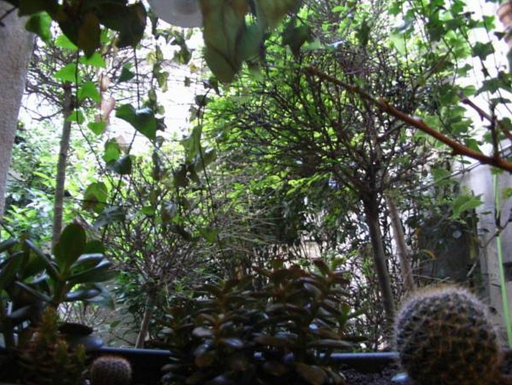 Monte-carlo Hotel Paris